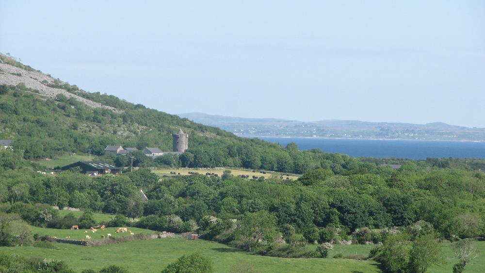 Burren College of Art